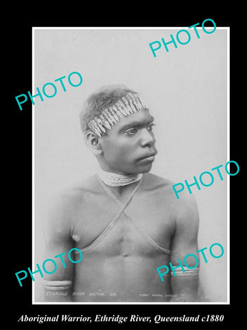 OLD LARGE HISTORIC PHOTO OF ABORIGINAL WARRIOR FROM ETHRIDGE RIVER AREA c1880