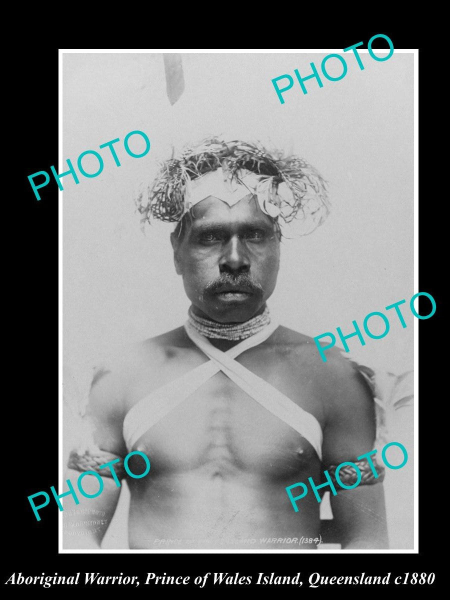 OLD LARGE HISTORIC PHOTO OF ABORIGINAL WARRIOR FROM PRINCE OF WALES ISLAND c1880