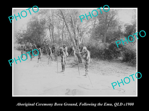 OLD LARGE HISTORIC PHOTO OF ABORIGINAL BORA CEREMONY, FOLLOWING THE EMU c1900