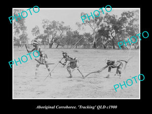 OLD LARGE HISTORIC PHOTO OF ABORIGINAL CORROBOREE DANCE, 'TRACKING' QLD c1900