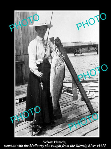 OLD LARGE HISTORIC PHOTO OF NELSON VICTORIA, FISHERMAN WITH MULLOWAY CATCH c1915