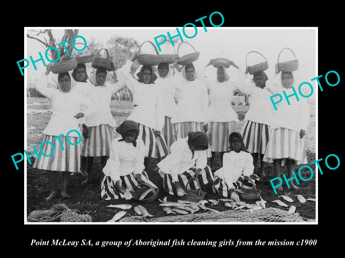 OLD HISTORIC PHOTO OF POINT MCLEAY, GROUP OF ABORIGINAL FISH CLEANING GIRLS 1900