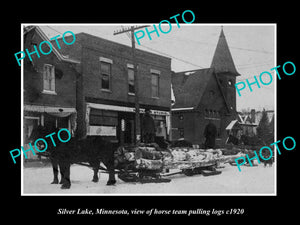 OLD LARGE HISTORIC PHOTO OF SILVER LAKE MINNESOTA, HORSE TEAM PULLING LOGS c1920