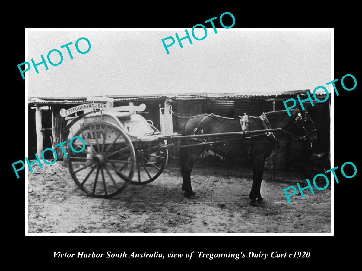 OLD LARGE HISTORIC PHOTO OF VICTOR HARBOR SA, THE TREGONNING DAIR CART c1920