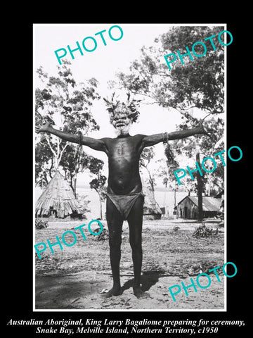 OLD HISTORIC PHOTO OF ABORIGINAL MAN IN PUKAMUNI CEREMONY, MELVILLE IS c1950 1