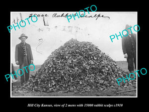 OLD LARGE HISTORIC PHOTO OF HILL CITY KANSAS, MEN WITH 15000 RABBIT SCALPS c1910