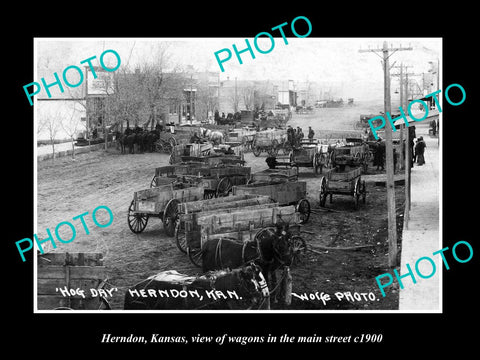 OLD LARGE HISTORIC PHOTO OF HERNDON KANSAS, THE WAGONS IN THE MAIN STREET c1900