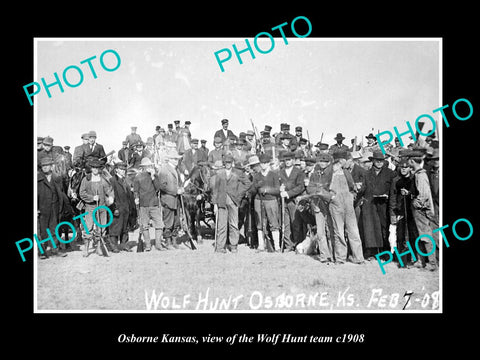 OLD LARGE HISTORIC PHOTO OF OSBORNE KANSAS, THE WOLF HUNT TEAM c1908