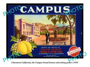 OLD LARGE HISTORIC PHOTO OF CLAREMONT CALIFORNIA, CAMPUS LEMONS POSTER c1930