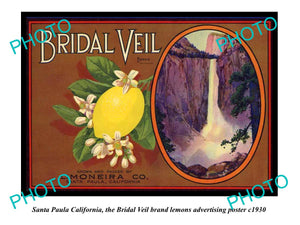 OLD HISTORIC PHOTO OF SANTA PAULA CALIFORNIA, BRIDAL VEIL LEMONS POSTER c1930