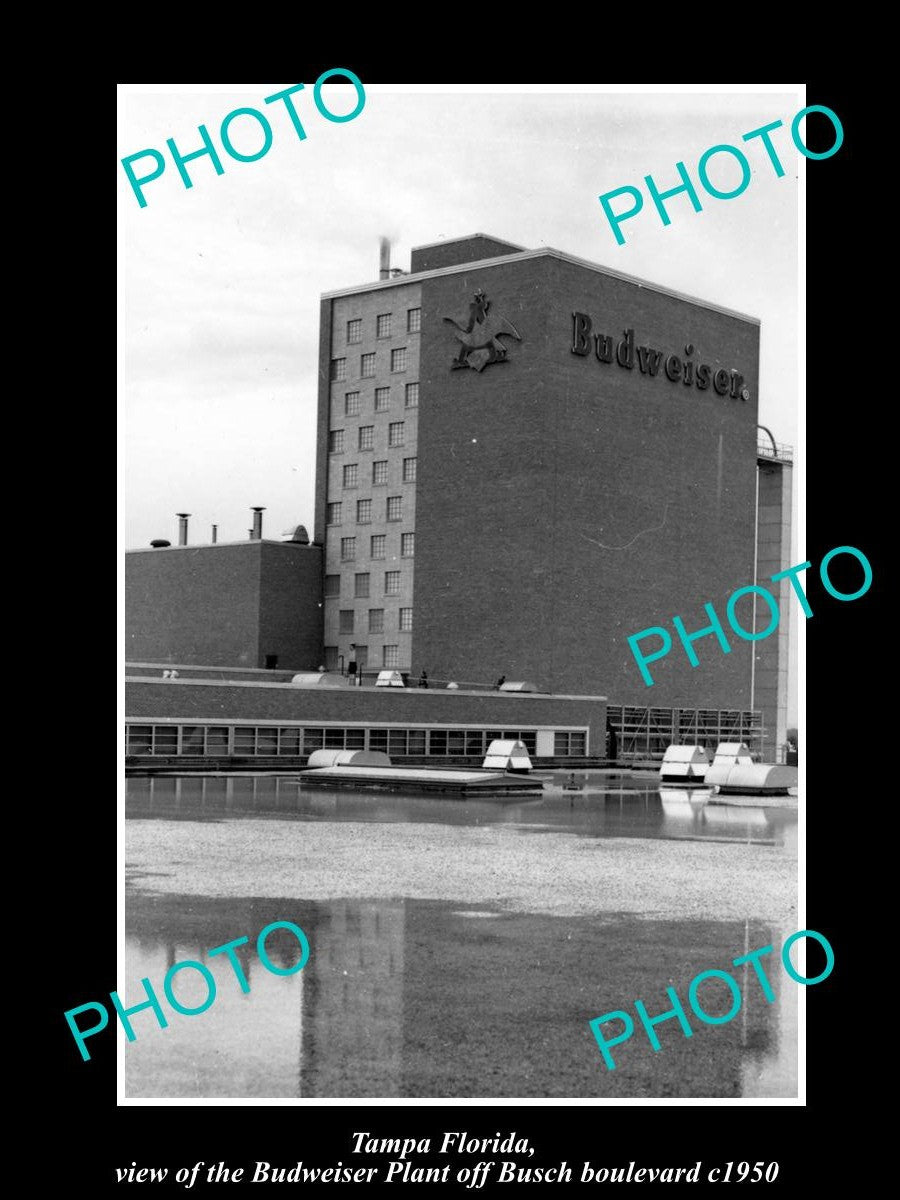 OLD LARGE HISTORIC PHOTO OF TAMPA FLORIDA, THE BUDWEISER BEER PLANT c1950