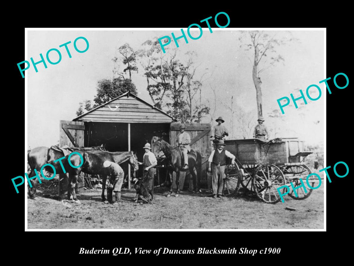 OLD LARGE HISTORIC PHOTO OF BUNDERIM QLD, VIEW OF DUNCANS BLACKSMITH SHOP c1900