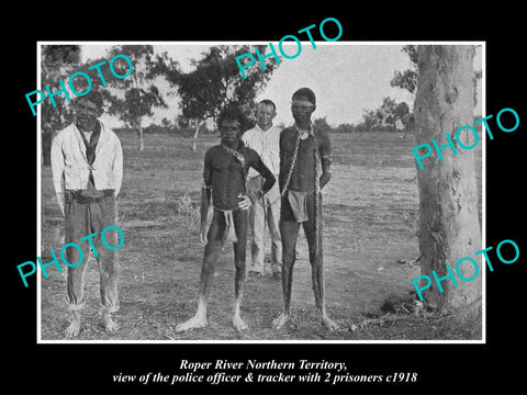 OLD LARGE HISTORIC PHOTO OF ROPER RIVER NT, POLICE & ABORIGINAL PRISONERS c1918