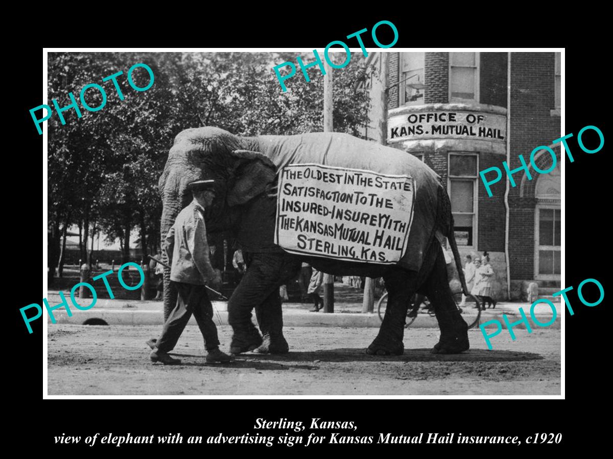 OLD LARGE HISTORIC PHOTO OF STERLING KANSAS, THE ELEPHANT ON PARADE SIGN c1920