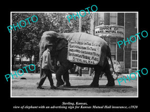 OLD LARGE HISTORIC PHOTO OF STERLING KANSAS, THE ELEPHANT ON PARADE SIGN c1920