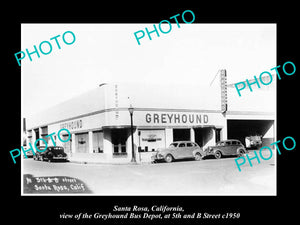 OLD LARGE HISTORIC PHOTO OF SANTA ROSA CALIFORNIA, GREYHOUND BUS DEPOT c1950