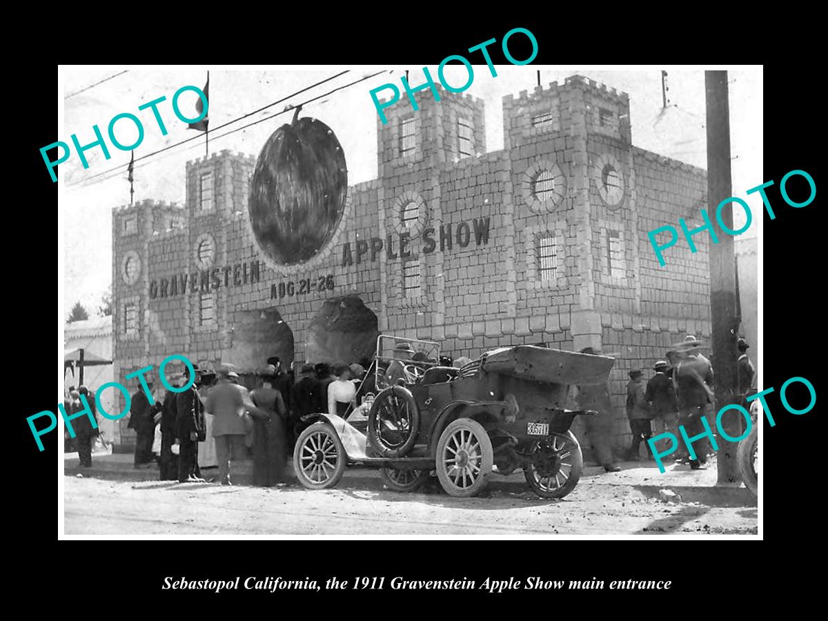 OLD LARGE HISTORIC PHOTO OF SEBASTOPOL CALIFORNIA, GRAVENSTEIN APPLE SHOW c1911