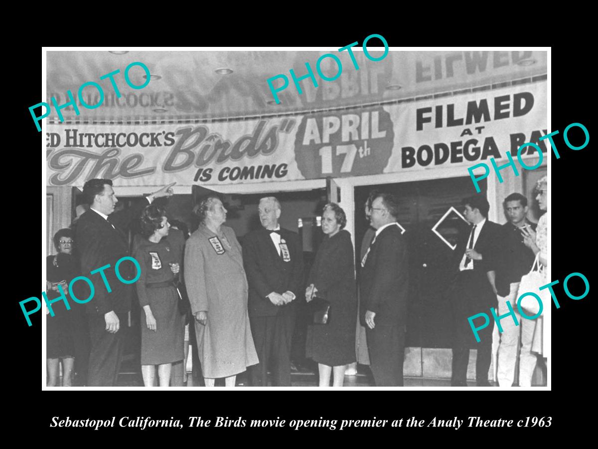 OLD LARGE HISTORIC PHOTO OF SEBASTOPOL CALIFORNIA, PREMIER OF MOVIE, BIRDS c1963