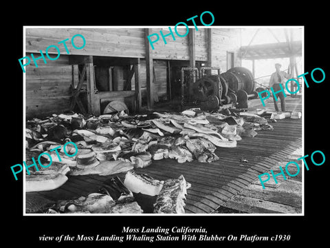 OLD LARGE HISTORIC PHOTO OF MOSS LANDING CALIFORNIA, THE WHALING STATION c1930 1