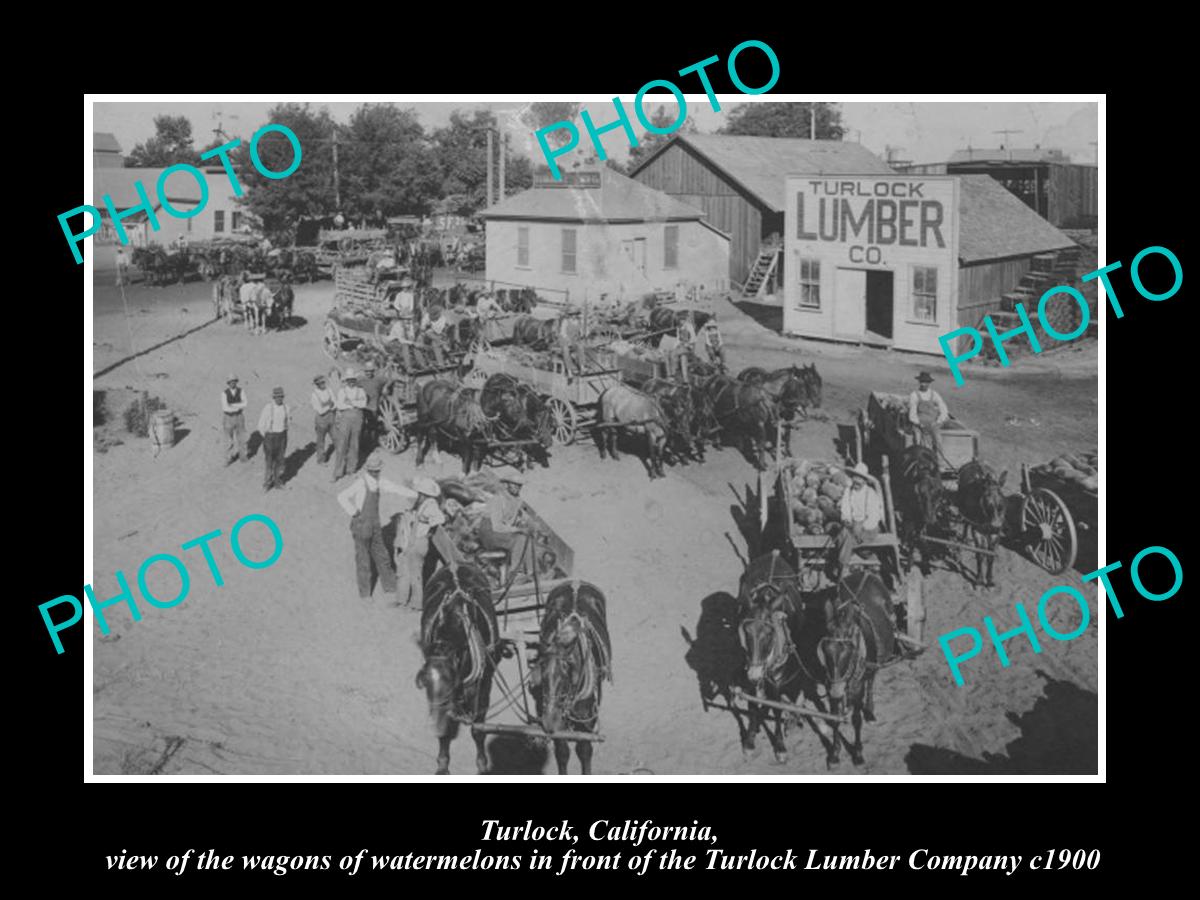 OLD LARGE HISTORIC PHOTO OF TURLOCK CALIFORNIA, THE LUMBER Co & WATERMELONS 1900