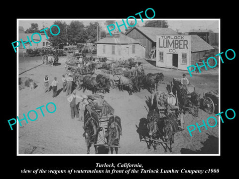 OLD LARGE HISTORIC PHOTO OF TURLOCK CALIFORNIA, THE LUMBER Co & WATERMELONS 1900