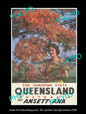 OLD LARGE HISTORIC PHOTO OF ANSETT ANA AIRLINES QUEENSLAND TOURISM POSTER c1960