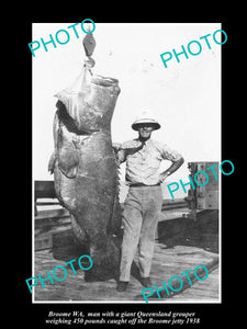 OLD LARGE HISTORIC PHOTO OF BROOME WEST AUSTRALIA, HUGE GROUPER CATCH c1938