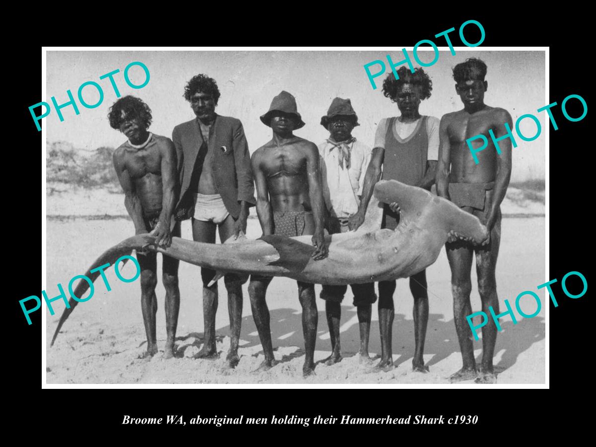 OLD LARGE HISTORIC PHOTO OF BROOME WEST AUSTRALIA, ABORIGINAL MEN & SHARK c1930