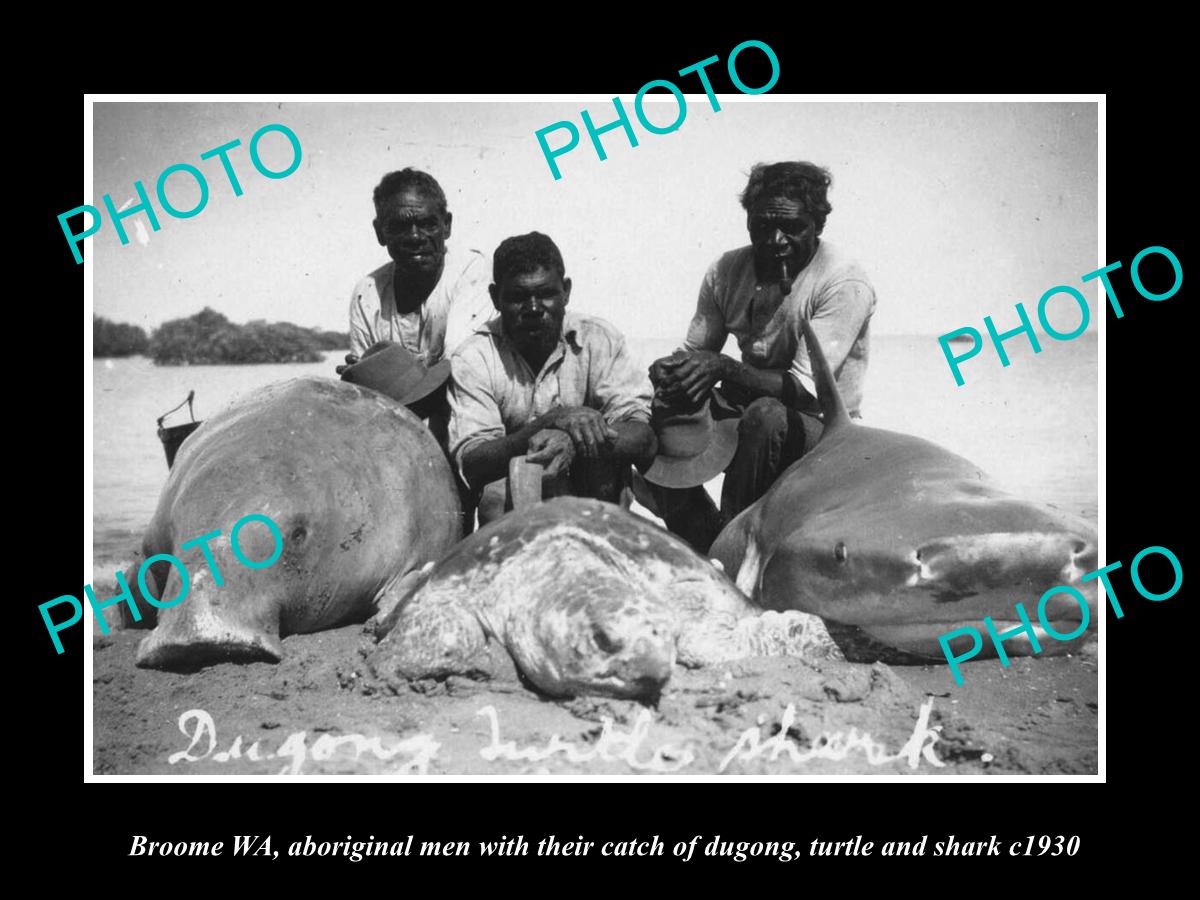 OLD HISTORIC PHOTO OF BROOME WEST AUSTRALIA, ABORIGINAL MEN & DUGONG TURTLE 1930