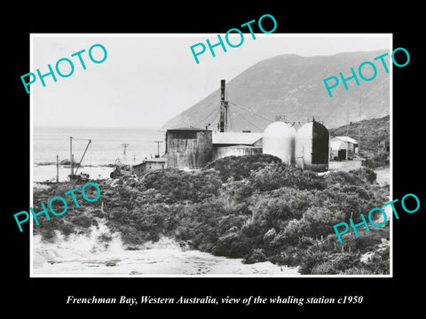 OLD LARGE HISTORIC PHOTO OF FRENCHMAN BAY WEST AUSTRALIA, WHALING STATION c1950