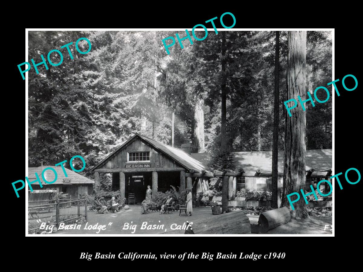 OLD LARGE HISTORIC PHOTO OF BIG BASIN CALIFORNIA, THE BIG BASIN LODGE c1940