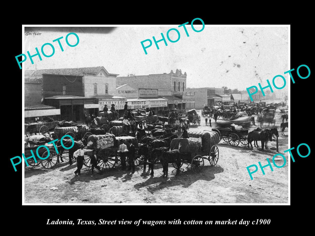 OLD LARGE HISTORIC PHOTO OF LADONIA TEXAS, THE MAIN St COTTON MARKET c1900