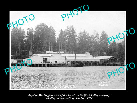 OLD LARGE HISTORIC PHOTO OF BAY CITY WASHINGTON, THE WHALING Co STATION c1920