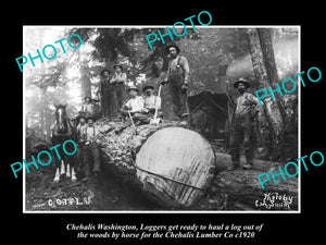 OLD LARGE HISTORIC PHOTO OF CHEHALIS WASHINGTON, CHEHALIS LUMBER Co LOGGERS 1920