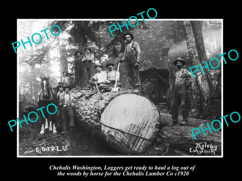 OLD LARGE HISTORIC PHOTO OF CHEHALIS WASHINGTON, CHEHALIS LUMBER Co LOGGERS 1920