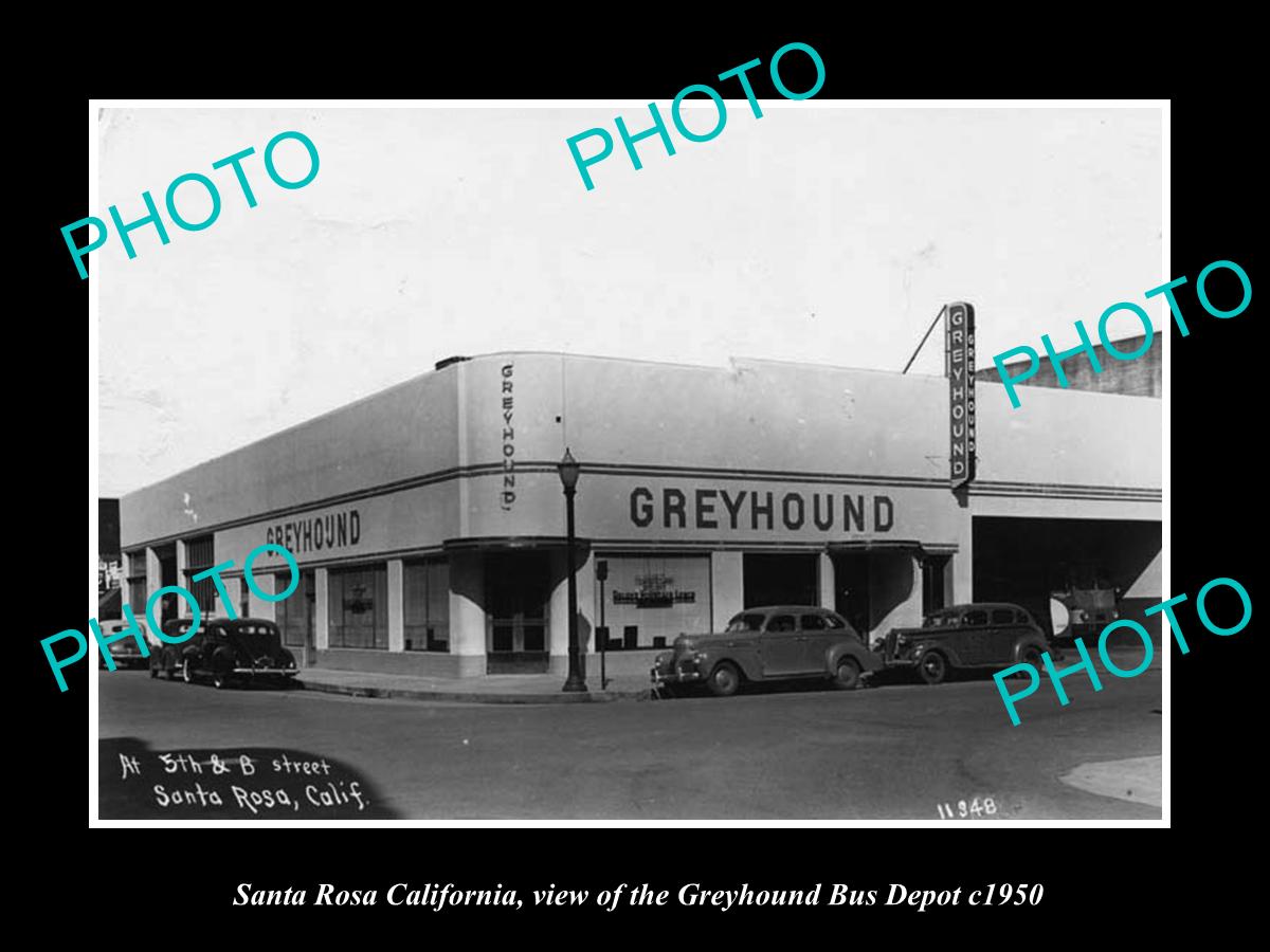 OLD LARGE HISTORIC PHOTO OF SANTA ROSA CALIFORNIA, THE GREYHOUND BUS DEPOT c1950