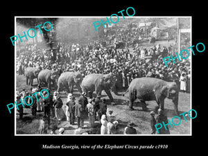 OLD LARGE HISTORIC PHOTO OF MADISON GEORGIA, THE ELEPHANT CIRCUS PARADE c1910