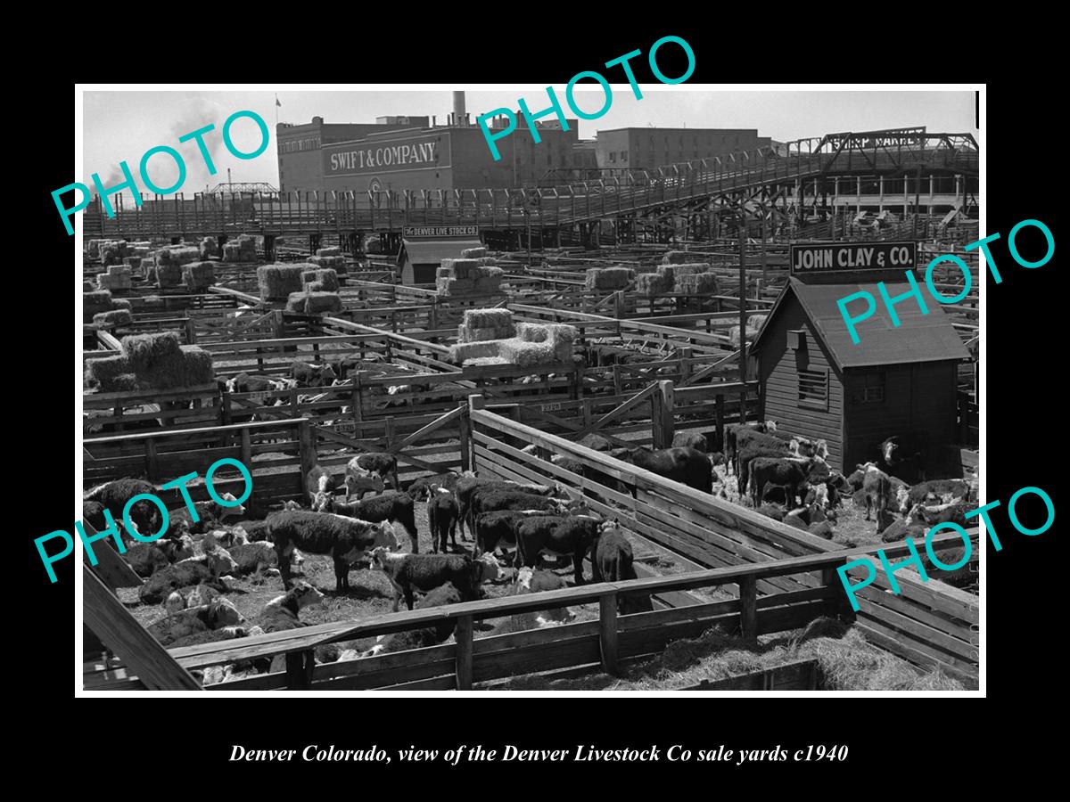 OLD LARGE HISTORIC PHOTO OF DENVER COLORADO, THE LIVESTOCK Co STOCK YARDS c1940