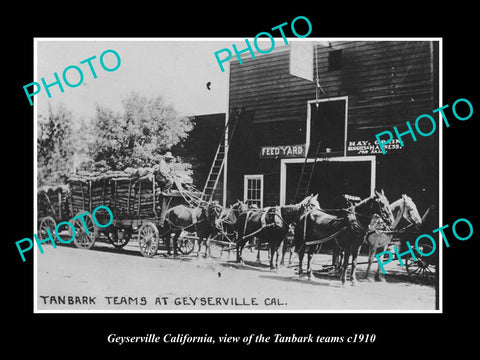 OLD LARGE HISTORIC PHOTO OF GEYSERVILLE CALIFORNIA, THE TANBARK HORSE TEAM c1910