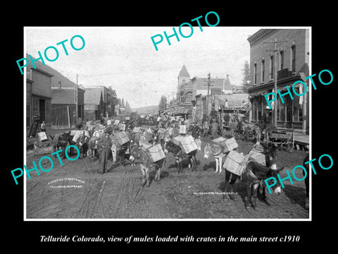 OLD LARGE HISTORIC PHOTO OF TELLURIDE COLORADO, MULE TEAM IN MAIN STREET c1910