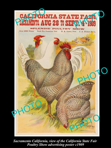 OLD LARGE HISTORIC PHOTO OF SACRAMENTO CALIFORNIA, POULTRY SHOW POSTER c1909 1