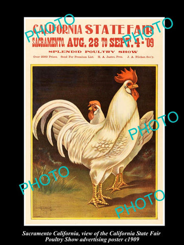 OLD LARGE HISTORIC PHOTO OF SACRAMENTO CALIFORNIA, POULTRY SHOW POSTER c1909 3