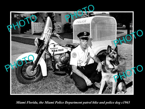 OLD LARGE HISTORIC PHOTO OF MIAMI FLORIDA, THE POLICE DOG & MOTORCYCLE c1965