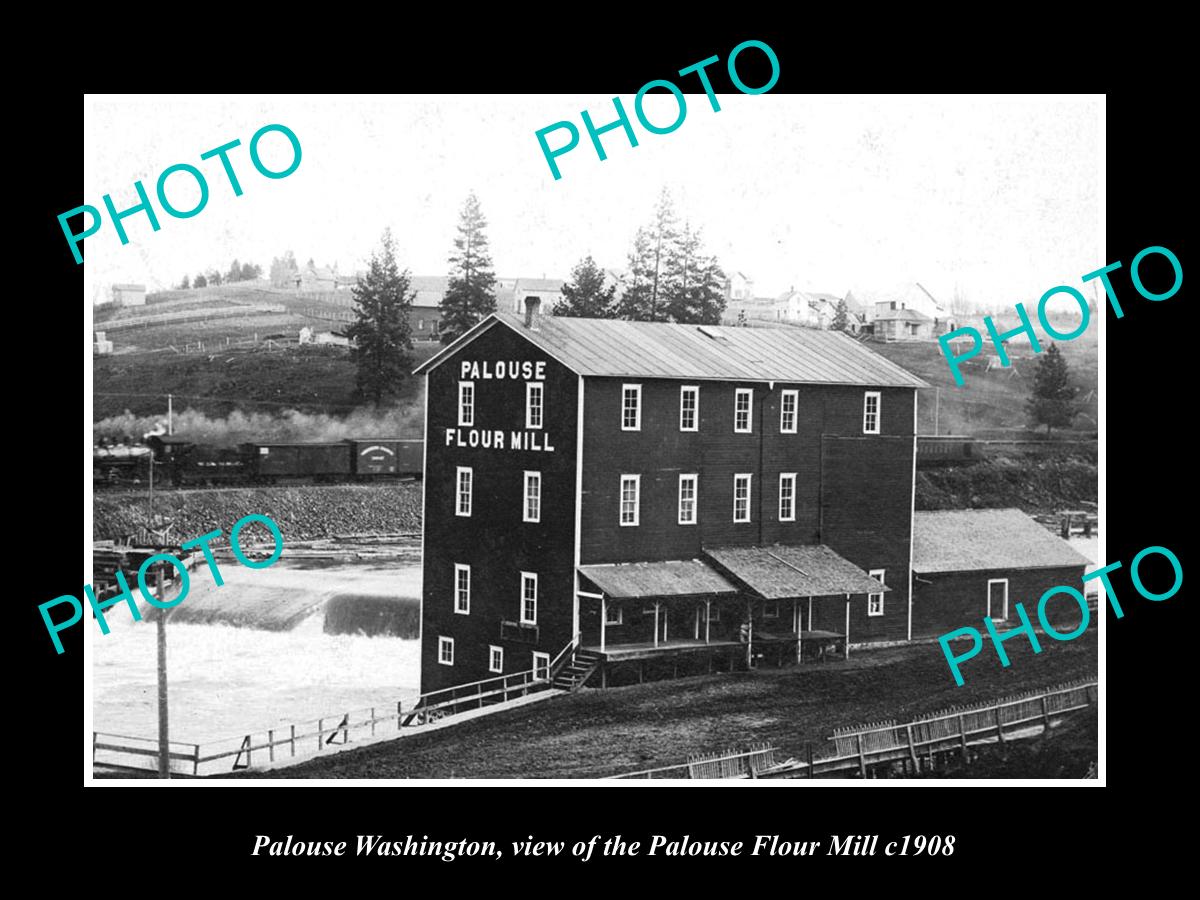 OLD LARGE HISTORIC PHOTO OF PALOUSE WASHINGTON, VIEW OF THE FLOUR MILL c1908