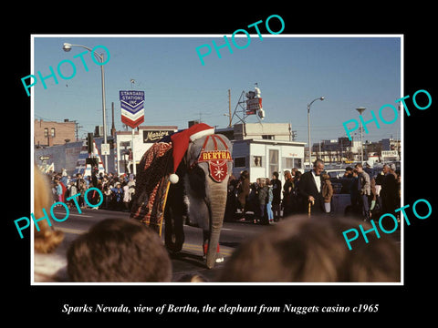 OLD LARGE HISTORIC PHOTO OF SPARKS NEVADA, BERTHA THE CASINO ELEPHANT c1965 1