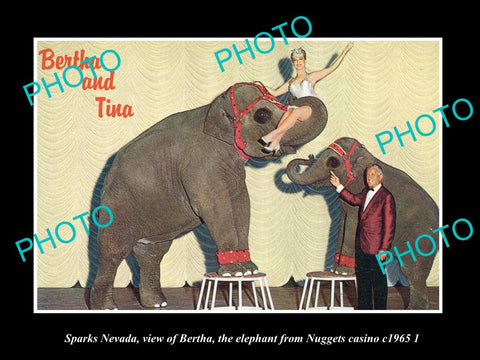 OLD LARGE HISTORIC PHOTO OF SPARKS NEVADA, BERTHA THE CASINO ELEPHANT c1965 2