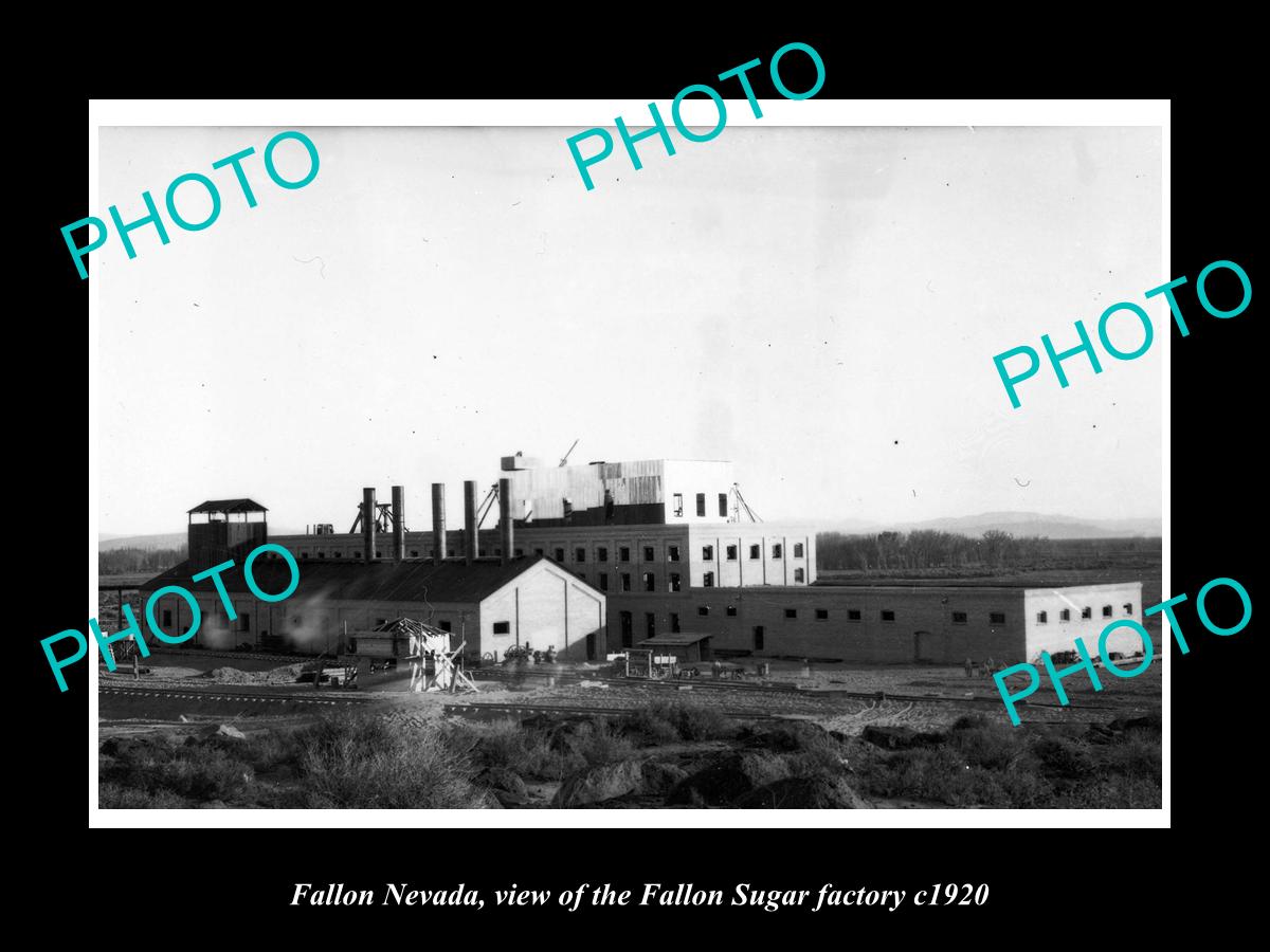 OLD LARGE HISTORIC PHOTO OF FALLON NEVADA, THE FALLON SUGAR FACTORY c1920