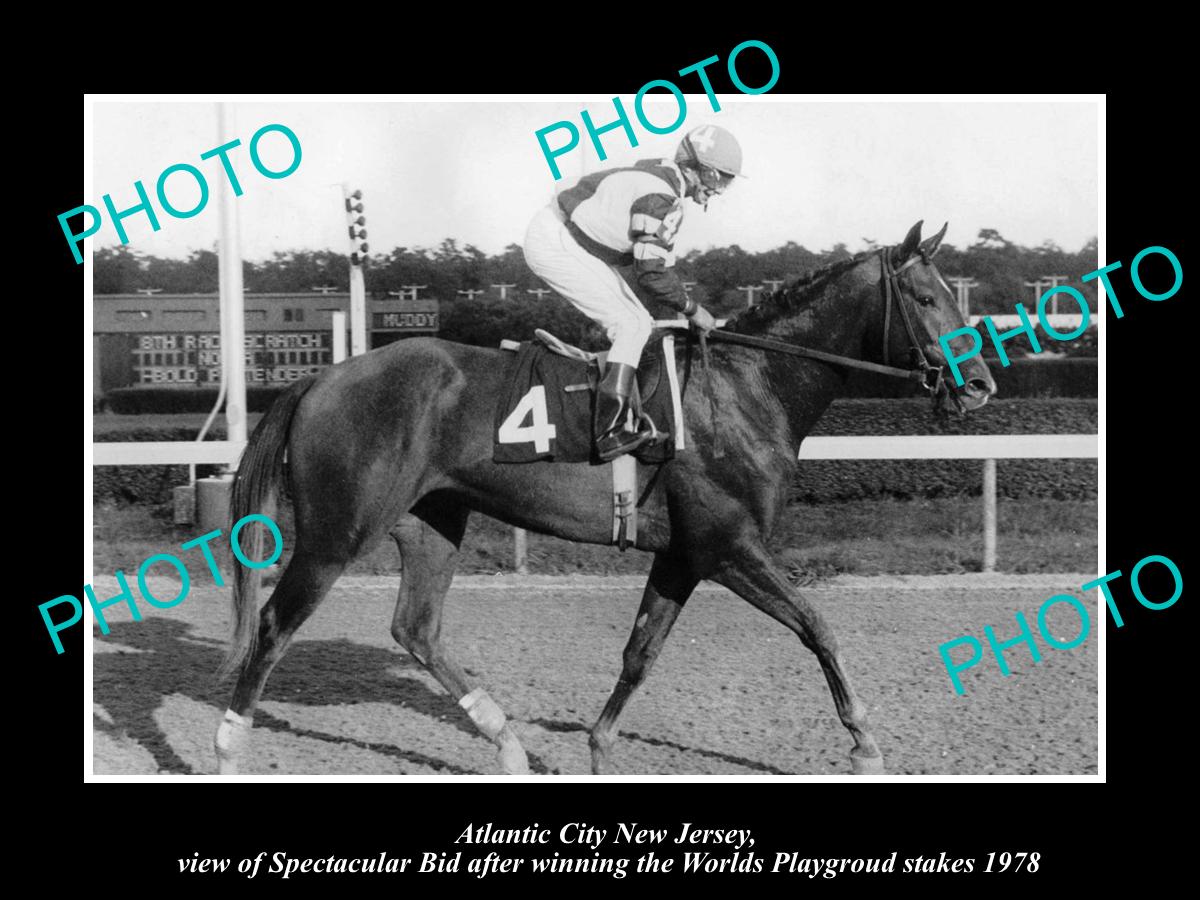 OLD LARGE HORSE RACING PHOTO OF ATLANTIC CITY NEW JERSEY, SPECTACULAR BID 1978