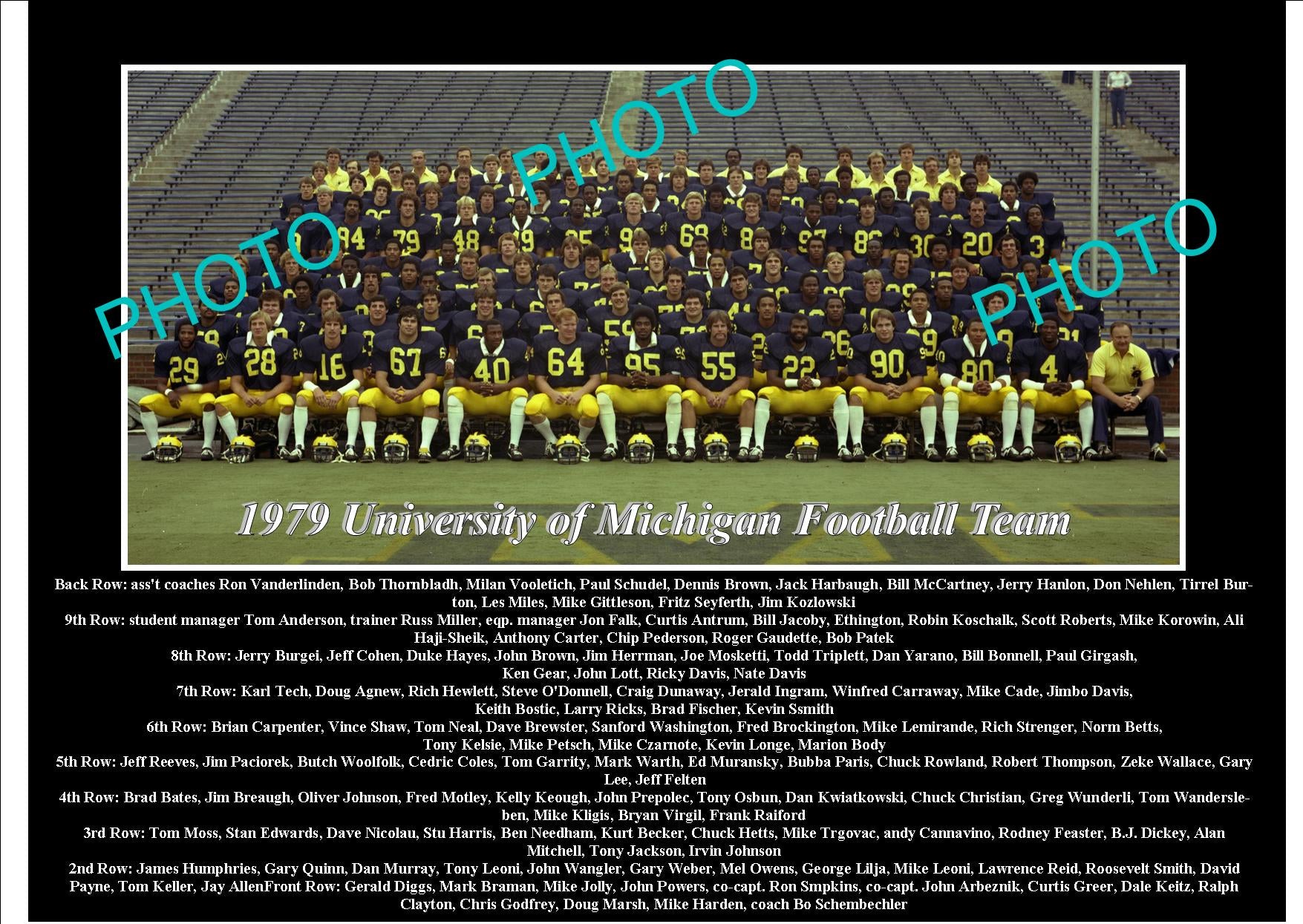 OLD LARGE HISTORIC PHOTO OF UNIVERSITY OF MICHIGAN FOOTBALL TEAM 1979