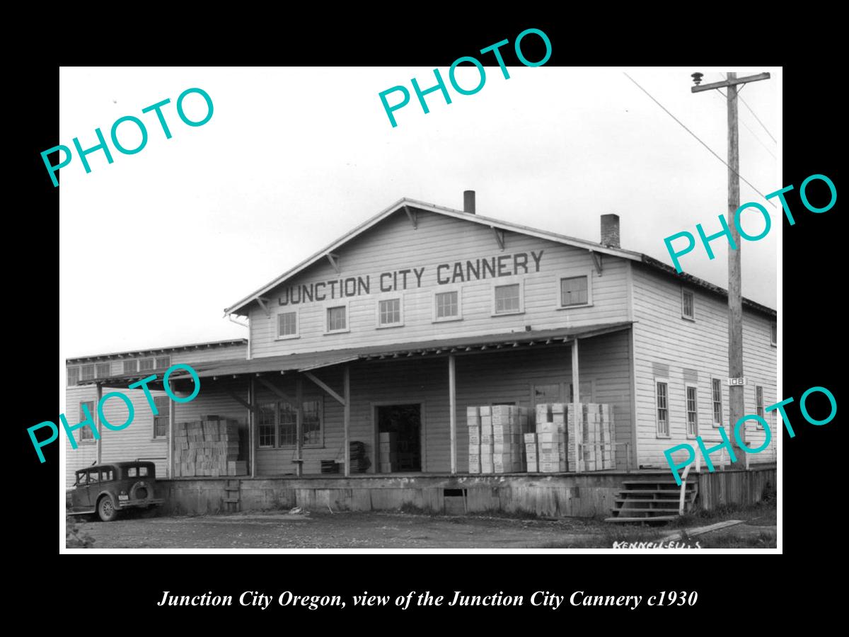 OLD LARGE HISTORIC PHOTO OF JUNCTION CITY OREGON, THE J/C CANNERY c1930